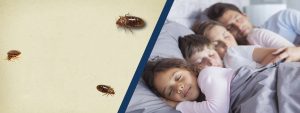 Bed bugs and sleeping family